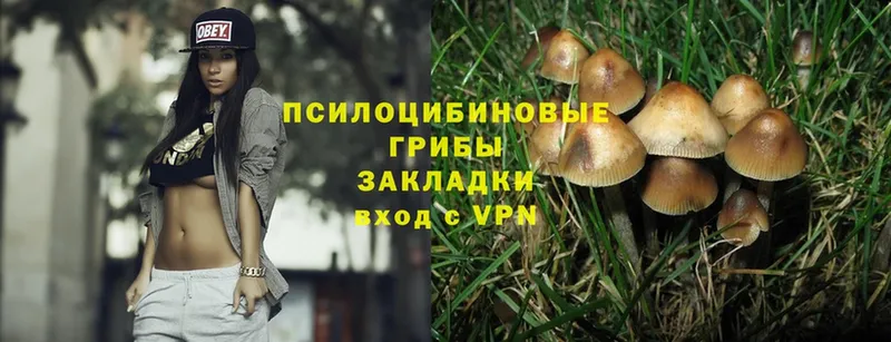 Псилоцибиновые грибы Magic Shrooms  Сенгилей 